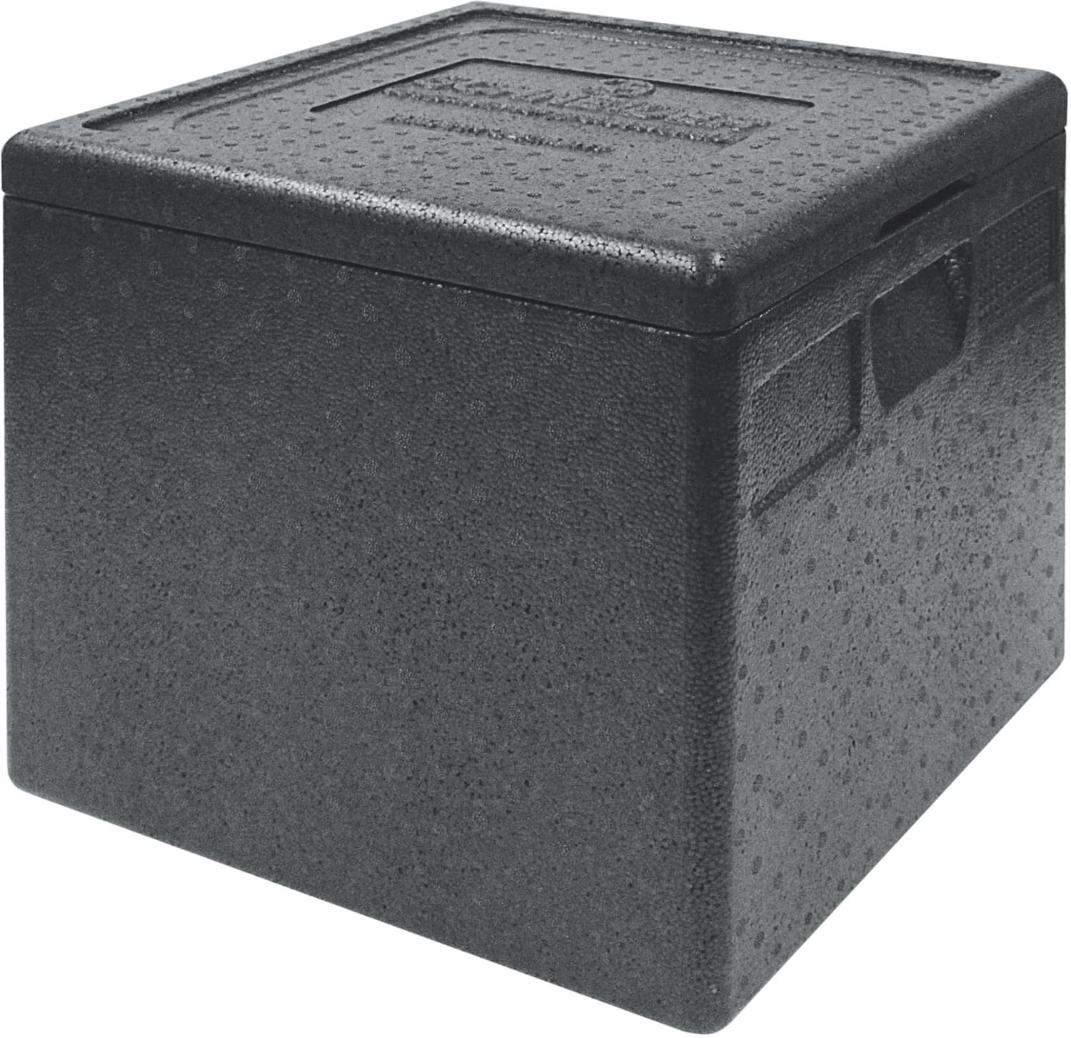 EPP Transportbox TOP-BOX PIZZA SMALL